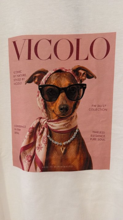 Tričko DOG zn. VICOLO - farebné